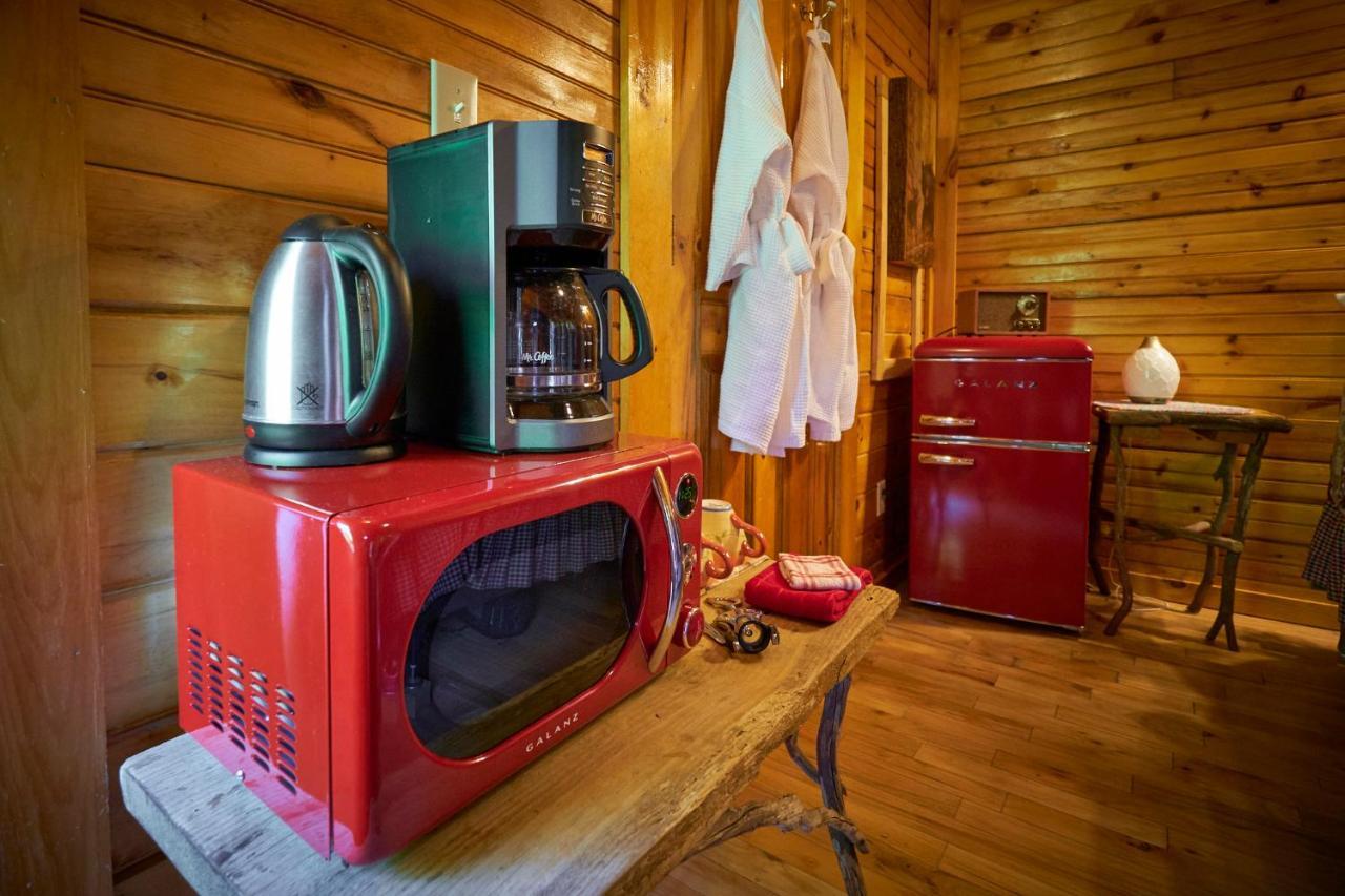 Cosby Creekwalk Inn Bed And Breakfast With Cabins المظهر الخارجي الصورة